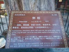 -玉泉观