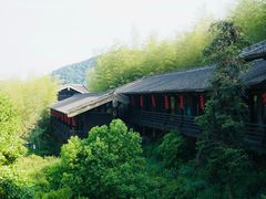 -大唐贡茶院