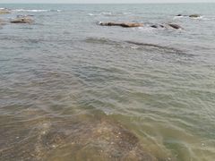 -日照灯塔风景区