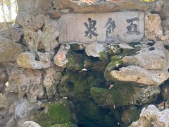 -上海醉白池公园