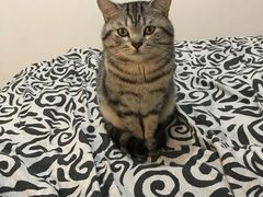 -清真·京华源铜锅涮肉(丰庆店)