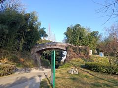 -菊花台公园