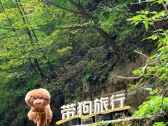 -龙门涧景区
