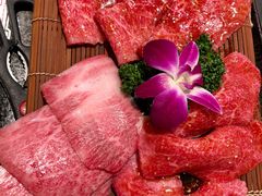 -俺的焼肉(銀座9丁目店)