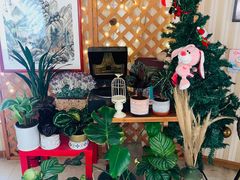 -Rabbit Cafe私房西餐甜点咖啡(栖霞路店)