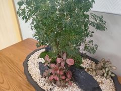 -厦门市图书馆(集美新城馆区)