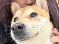 -怪兽屋·羊驼·猫咖·狗咖(俊华广场店)