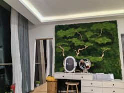 -POCO宝珂丽科技美肤