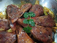 -万宝宝芝林(北辰店)