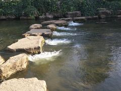 -洛龙公园