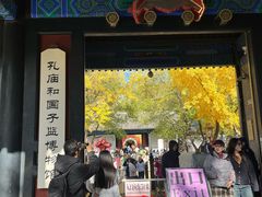 -北京国子监胡同
