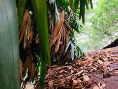 -顺风山庄(水濂山店)