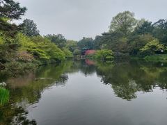 -西湖游船