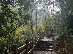 -南海湾森林生态园