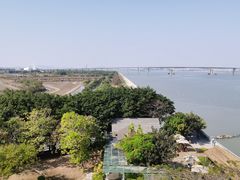 -大湾区中央湿地公园
