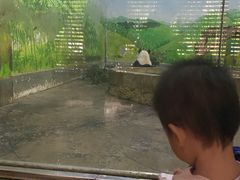 -柳州市动物园