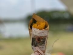 -漕湖湿地公园