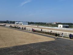 -平湖九龙山旅游度假区
