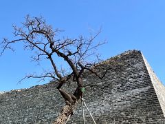 -北京明城墙遗址公园