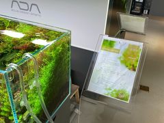 -ADA自然水景世界