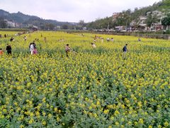 -红山村