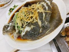 清蒸多宝鱼-北戴河庆山饭店·海鲜砂锅粥(北戴河黑石路店)