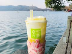 霸气芝士芒果-奈雪的茶(湖滨银泰in77C区PRO店)