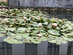 -杭州城北体育公园