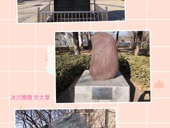 -中国地质博物馆