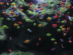 -苏州海洋馆