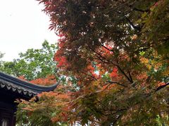 -枫桥景区