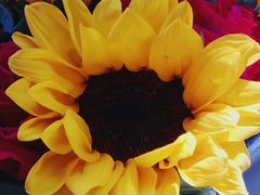 -那些花儿鲜花店(小寨店)