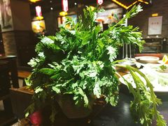 -舒家大院老火锅(台江路店)