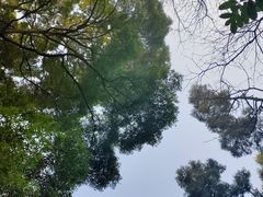 -青城山