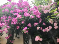 -荣昌花园