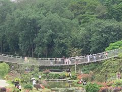 -东莞植物园