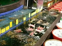 -新梅园不夜粥(龙华店)