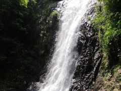 景点-旗山国家森林公园