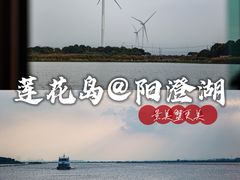 -莲花岛景区