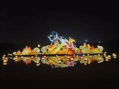 -武汉园博园(武汉自然博物馆)