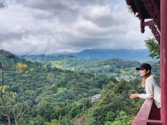 -凤栖山