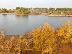 -东郊湿地公园