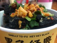 -黑色经典臭豆腐·湖南特产(坡子街店)