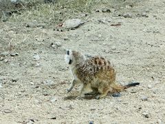 -茅山东方盐湖城景区