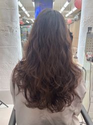 -Z.X HAIR SALON张新美业