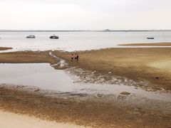 -北海金海湾红树林生态旅游区