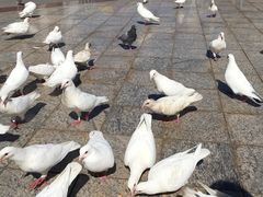 -海河外滩公园