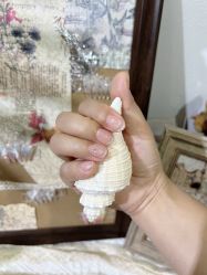 -LEILEI NAIL蕾蕾美甲美睫