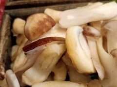 -木王宴语·野生鲜菌火锅(玉河店)