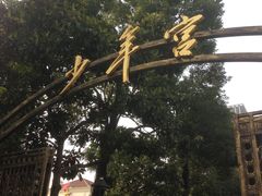 -中国福利会少年宫